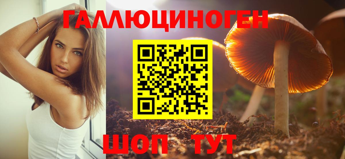 Алатырь  Галлюциногенные грибы Magic Shrooms  Вход с VPN 