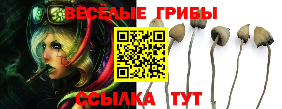Галлюциногенные грибы ЛСД Алатырь